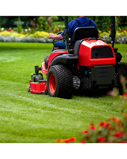 Lawn services landscaping